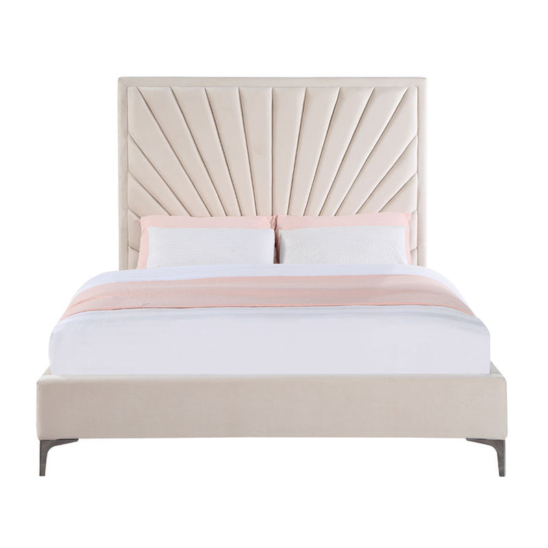 Faiz - Bed