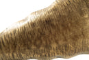 Wystenburg - Tray - Antique Gold Finish
