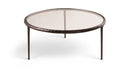 Evren - Glass Top And Aluminum Base Coffee Table