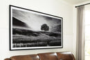 Deborland - Wall Art - Black / White