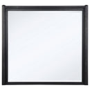 Leandro - Dresser Mirror - Burnished Black