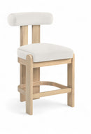 Arienzo - Velvet Performance Fabric Upholstered Counter Stool (Set of 2)