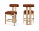 Arienzo - Velvet Performance Fabric Upholstered Counter Stool (Set of 2)