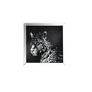 Talisha - Wall Art - Mirrored & Faux Crystal Leopard