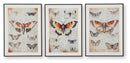 Jossletts - Wall Art Set (Set of 3) - Orange / Black / Ivory